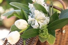 Тишина благоприятна для того, чтобы слушать самого себя.