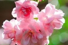 Позитивный человек, это тот, кого послали куда подальше, а он вернулся отдохнувший и с магнитиками.