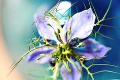 Самое главное - это желание жить. Радоваться солнечному лучу, полевому цветку, воробью, чирикающему на ветке... Дар умения быть счастливым в детстве есть почти у всех, но лишь немногие могут сохранить его на всю жизнь...