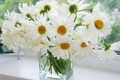 Мне не нужны кольца, шубы, дорогие цветы... Подари мне охапку ромашек и свою улыбку, и я буду счастлива..