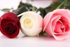 Важные люди у меня в мыслях. Любимые - в сердце. Дорогие - в молитвах. А кому-то повезло трижды!...