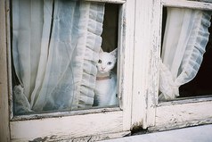 Чем больше надежд питаю, тем больше разочаровываюсь, при этом все равно не перестаю надеяться.