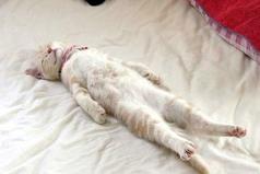 Если придя домой после работы одновременно снять лифчик и обувь на каблуках, то можно умереть от удовольствия…