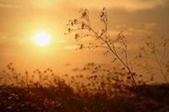 Природа создает столько чудес, чтобы мы могли ими любоваться.