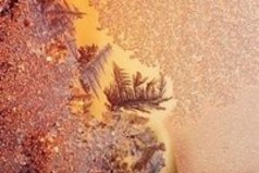 Счастье – это умение видеть необыкновенное в обыкновенных вещах...