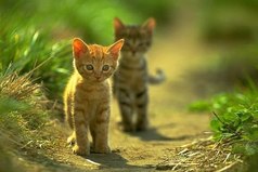 Господи, убери из моей жизни людей, которые ничего хорошего в неё не приносят, а только умеют портить настроение. пусть у них все будет хорошо, но только подальше от меня.