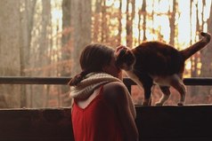 Всякий раз, когда стоишь перед выбором, будь внимателен: не выбирай то, что удобно, комфортно, респектабельно, признано обществом, почётно. Выбирай то, что находит отклик в твоём сердце. Выбирай то, что ты хотел бы сделать, невзирая ни на какие последствия.