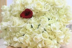 Мальчик подарил девочке 101 розу (100 настоящих и 1 одну искусственную) и сказал: 