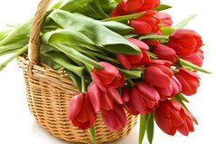 Я поздравляю вас сегодня, пускай сбываются мечты. Прекрасный день – 8 марта, день нежности и красоты!