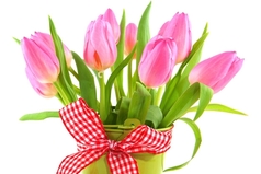 Те кто не допил 23 февраля допивайте 8 марта – это одно и тоже, по старому календарю.