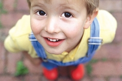 Когда я был маленьким, мне большими казались не только деревья, но и кусты, а порой и цветы…