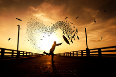 Вчера в метро я видела глаза…он вышел на той же станции, что и я и ехал в том же троллейбусе…сегодня я целый день катаюсь в том самом троллейбусе…это любовь?