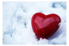 Любовь, как птица, она влетает в твое сердце и вылетает из него тогда, когда сама того пожелает.