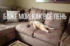 Боже мой, как все лень