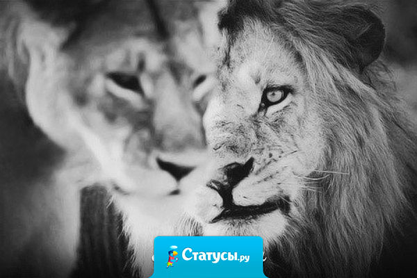 Любящие глаза по сторонам не смотрят.