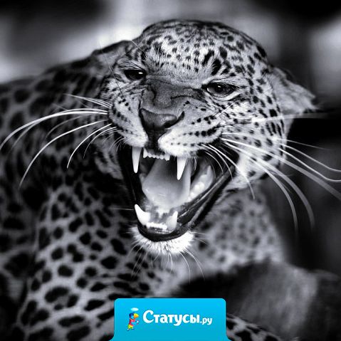 Утром...  не в себе! Днем... сама не своя! Вечером... вся из себя