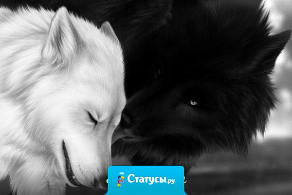 И не надо мне доставать луну с неба,  строить замки из песка. Просто будь рядом и не предавай.