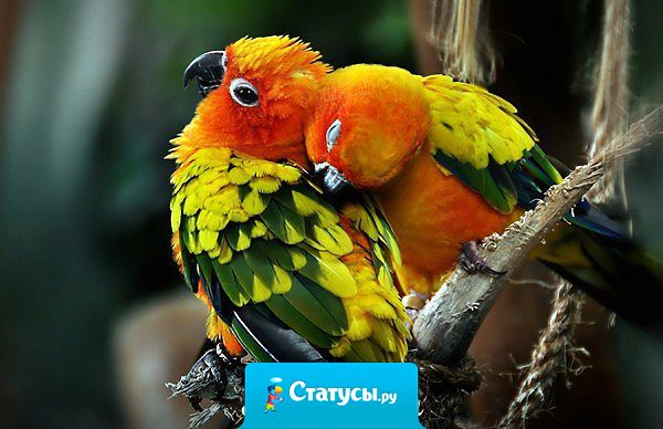 В любом возрасте день должен начинаться с поцелуя и заканчиваться поцелуем. Родители, любимый человек, дети, внуки. Если кто-то непрерывно, всю жизнь, каждый день тебя целует — ты счастливый человек!