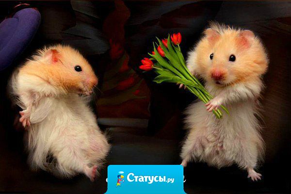 Хотите сделать приятно девушке? — Перестаньте писать пустые слова,  поднимите задницу из-за компьютера и вперёд на подвиги!