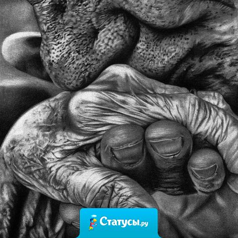 - Что ты хочешь, любимая?  - Чтобы в 80 лет ты спросил у меня тоже самое.