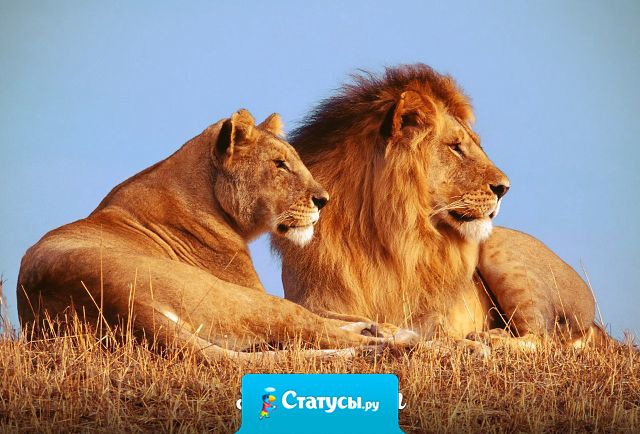 Когда людям хорошо вдвоем – нет никакой разницы,  как называются их отношения.