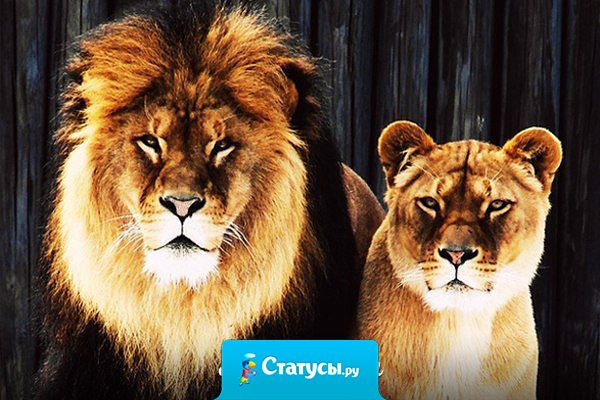 Из всех ласковых имен предпочитаю 