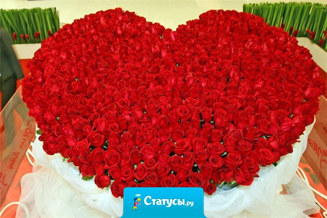 Я конечно понимаю, что цветы - это пустая трата денег, они быстро завянут и все, но черт возьми, это же так приятно, когда их дарят.