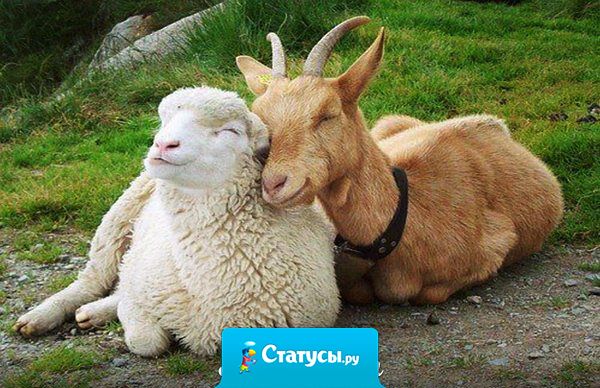 Прочла у одного мужика статус: 