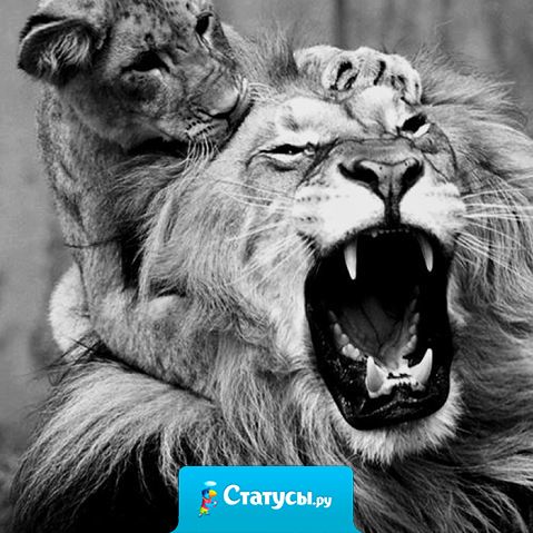 Кроха сын к отцу пришел и сказала кроха: 