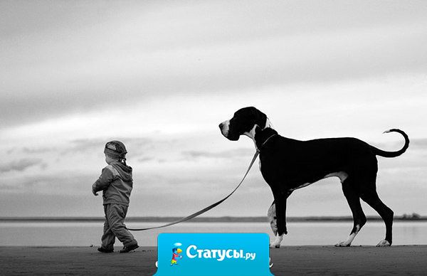 СЧАСТЬЕ - это когда проходишь мимо аптеки  - потому  что у тебя ничего не болит . Проходишь мимо магазина, потому что у тебя все есть. И идешь домой, потому что  тебя там ждут