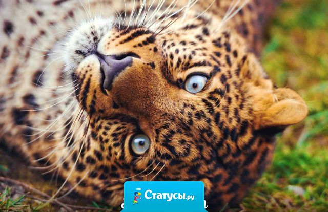 Легла отдохнуть, уснула. Так и не отдохнула!