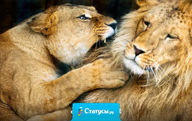 Прости меня за все мои скандалы, когда я злюсь.  Просто ты не понимаешь, как я потерять тебя боюсь