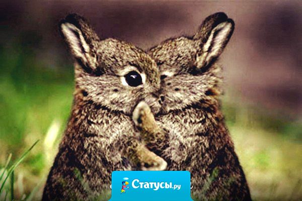 Сердце не выбирает кого попало, оно чувствует родное.