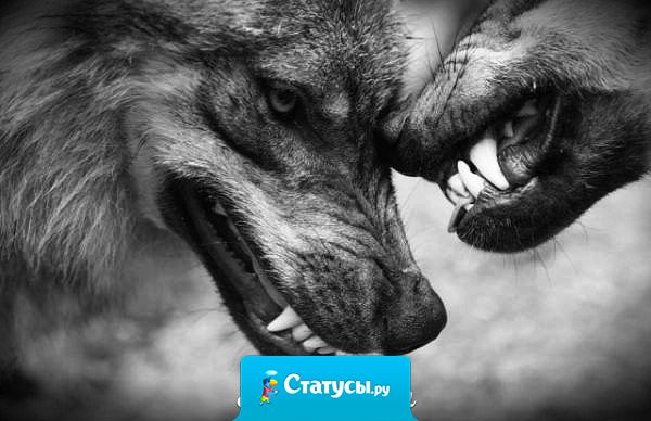 Вспомни себя год назад. Много что изменилось. Одни стали ближе, другие ушли.