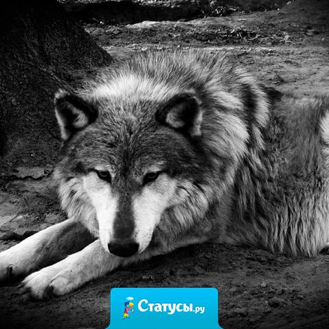 Если я не оправдываю ваши ожидания, не обижайтесь,  ведь это ваши ожидания, а не мои обещания