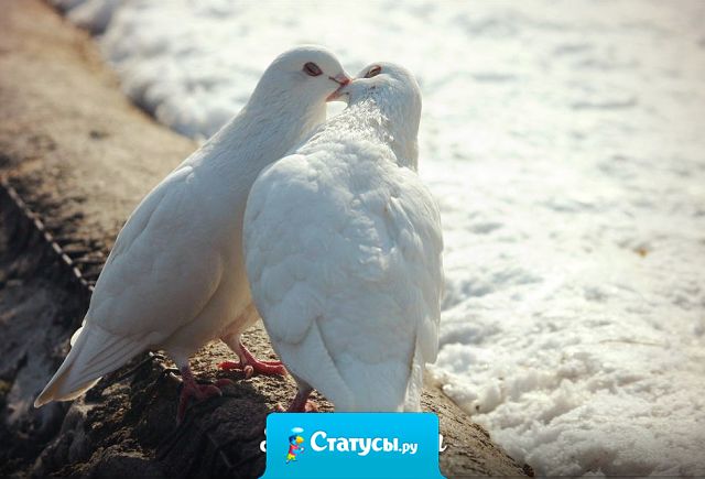 Любовь как война, легко начать, тяжело закончить, невозможно забыть.