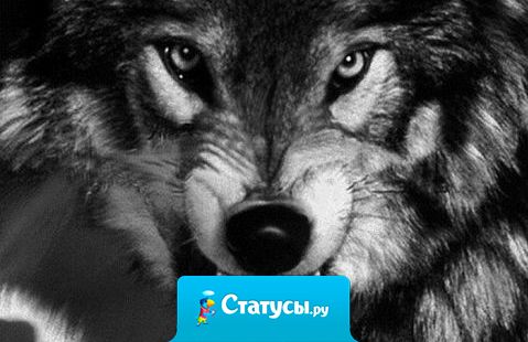 Опускайте голову только в одном случае - когда молитесь