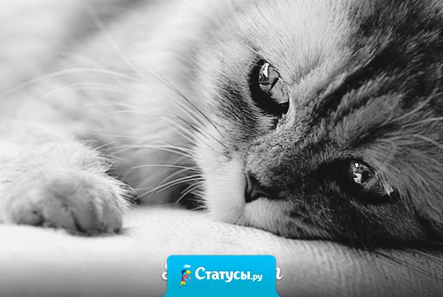 Твой человек не тот, кому «с тобой хорошо» – с тобой может быть хорошо сотне людей. Твоему – «без тебя плохо».