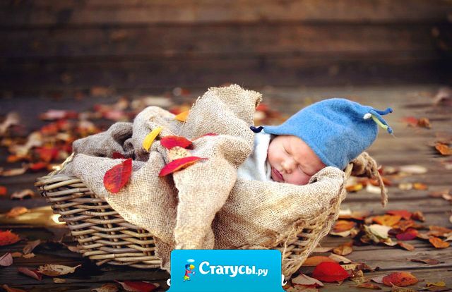 Только МАМА носит нас всю жизнь!  9 месяцев в животе, до 3х лет на руках и всю жизнь в своем сердце!