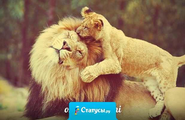 Спасибо отец, ты воспитал мужчину, и будь уверен я воспитаю также сына.