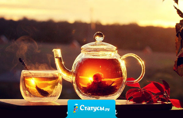 Если вас кто-то бесит – выпейте успокающего чаю на травах, глубоко вздохните и разбейте чашку о его голову