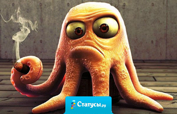 Осьминог - самое бедное существо. У него и ноги от ушей. И руки из жопы. И жопа с ушами. И голова в жопе! Но он же не жалуется на жизнь.