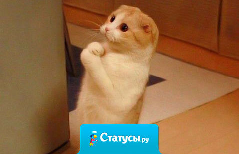 Ещё каких - нибудь 