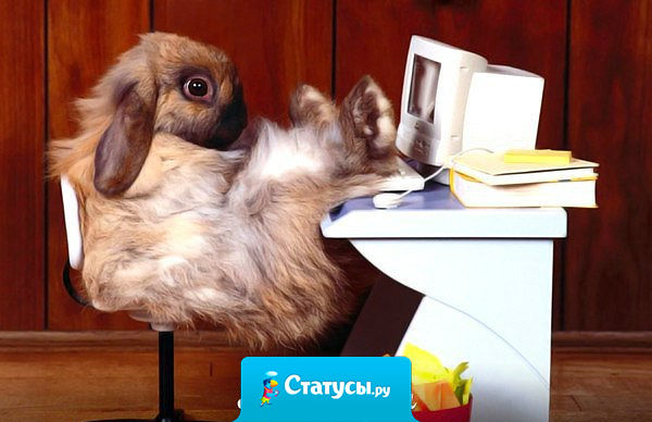 Только в России может быть проверка перед проверкой, чтобы проверить насколько сотрудники готовы к проверке.