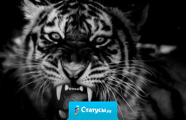 Ну не умею нравиться всем подряд  нужно кого-то и раздражать для разнообразия.