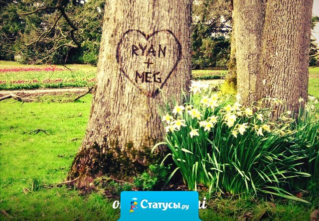 Когда я вижу имена парочек, вырезанные на деревьях, я не думаю, что это мило. Я думаю, что весьма странно, что люди берут на свидание нож.