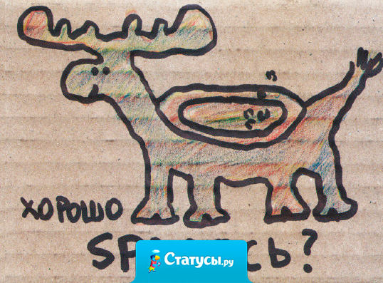 Долбаный Т9. Cегодня вместо 