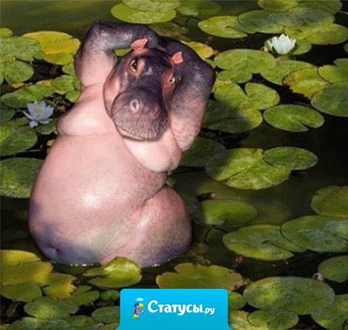 На ее груди висел значок худеем вместе! И все бы ничего, но как раз на третью букву села муха.