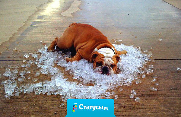 Метеорологи пообещали, что на следующей неделе мы наконец «передохнем от жары». А ударение в слове «передохнем» не поставили