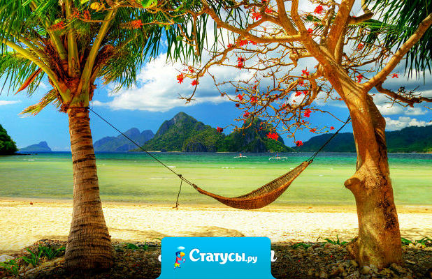 Все загорают на морях, озёрах, водоёмах.  А я что? А я — сажусь на солнечной стороне автобуса!